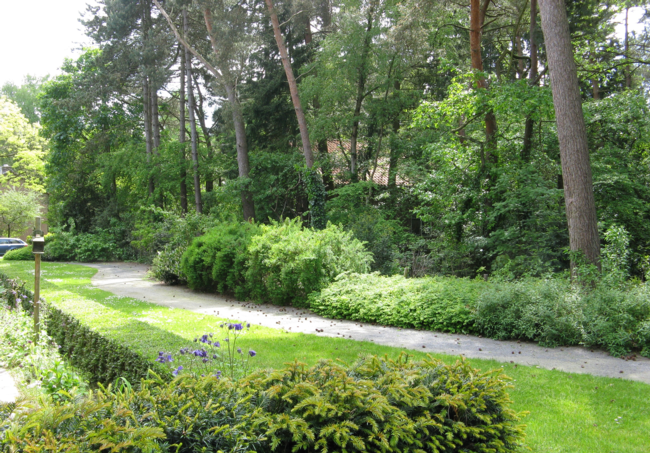 foto 13